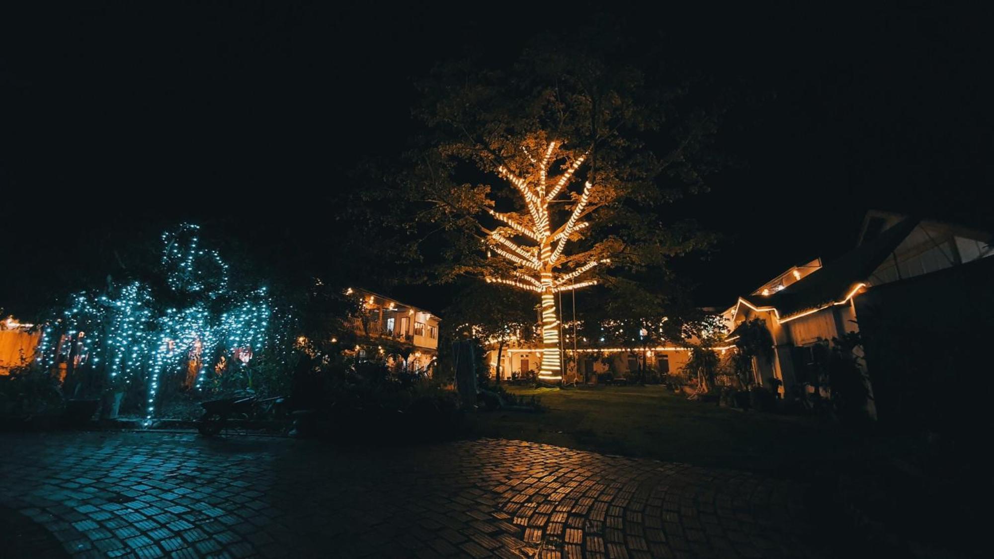 Trang An Secret Garden Ξενοδοχείο Νιν Μπιν Εξωτερικό φωτογραφία