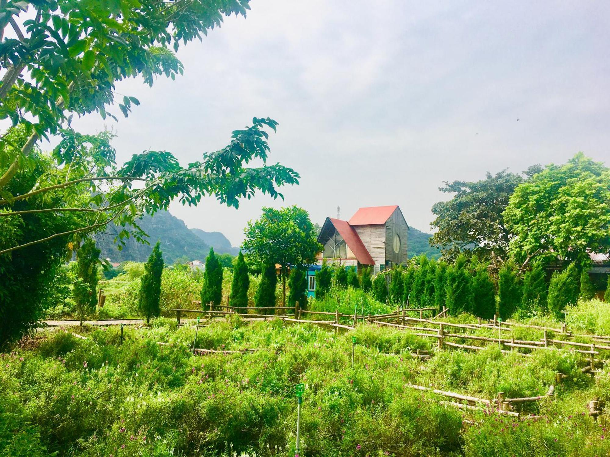 Trang An Secret Garden Ξενοδοχείο Νιν Μπιν Εξωτερικό φωτογραφία