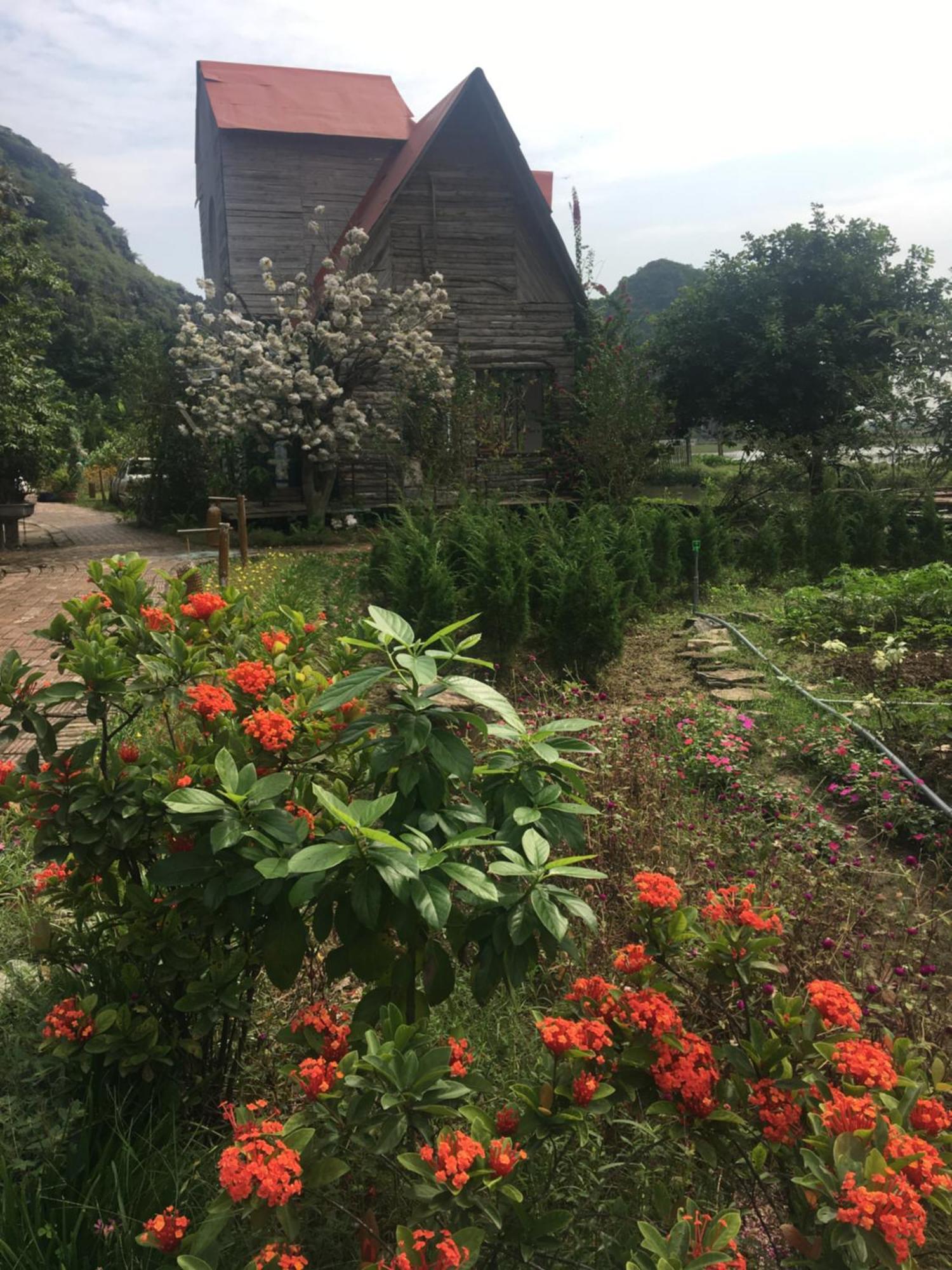 Trang An Secret Garden Ξενοδοχείο Νιν Μπιν Εξωτερικό φωτογραφία