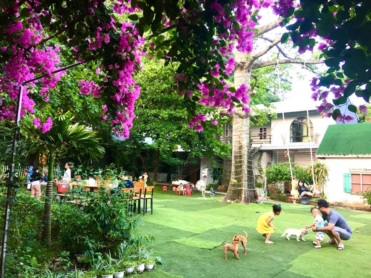 Trang An Secret Garden Ξενοδοχείο Νιν Μπιν Εξωτερικό φωτογραφία